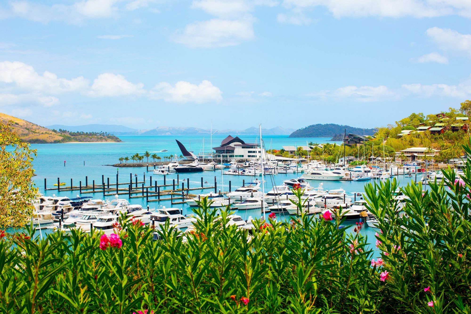 Palm Bungalows Hamilton Island Eksteriør billede