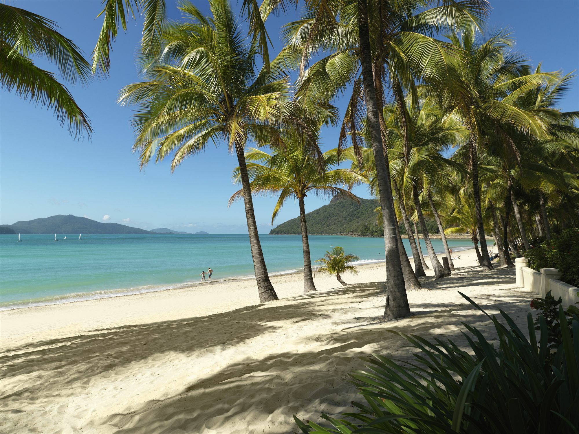 Palm Bungalows Hamilton Island Eksteriør billede