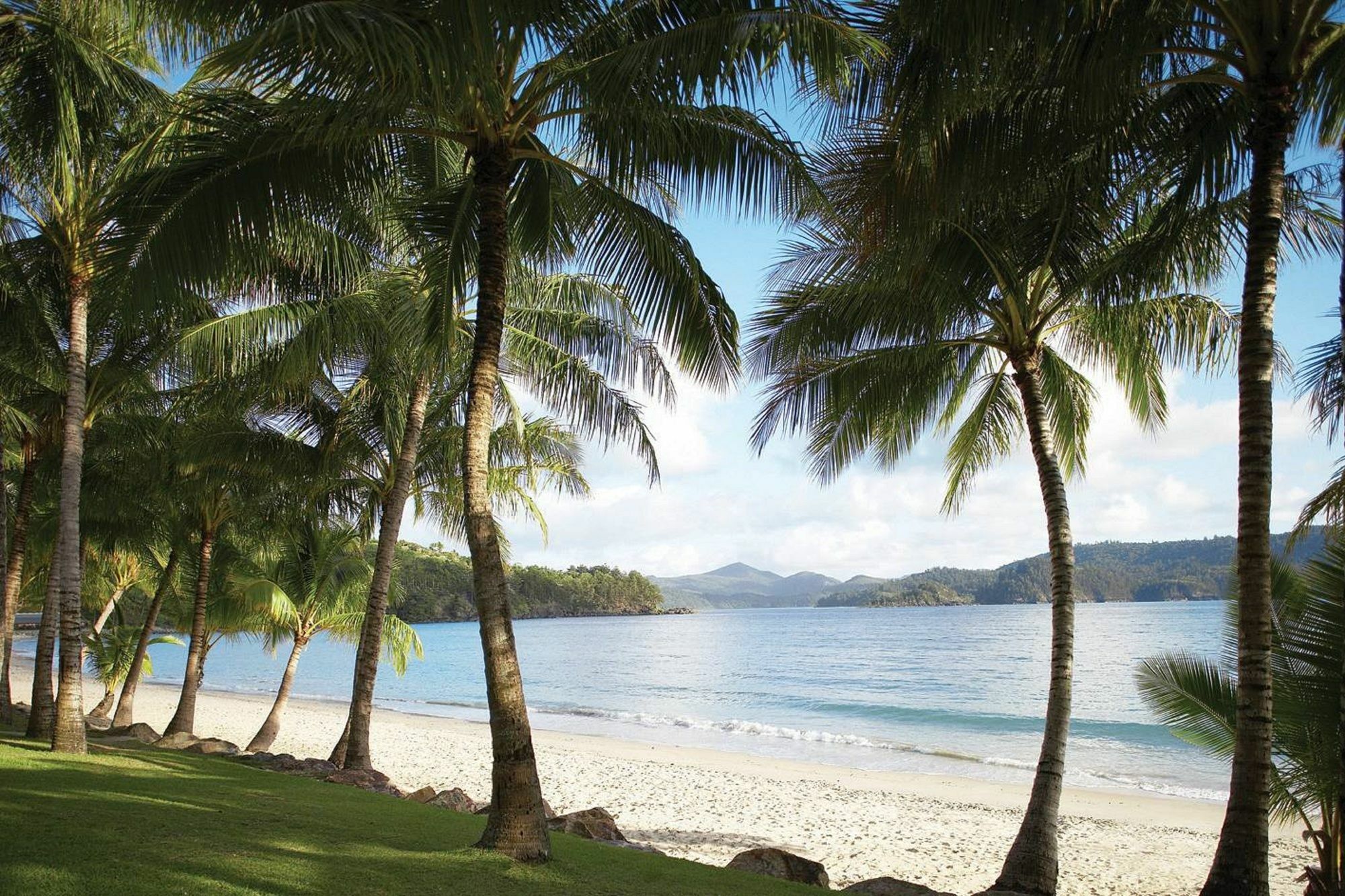 Palm Bungalows Hamilton Island Eksteriør billede