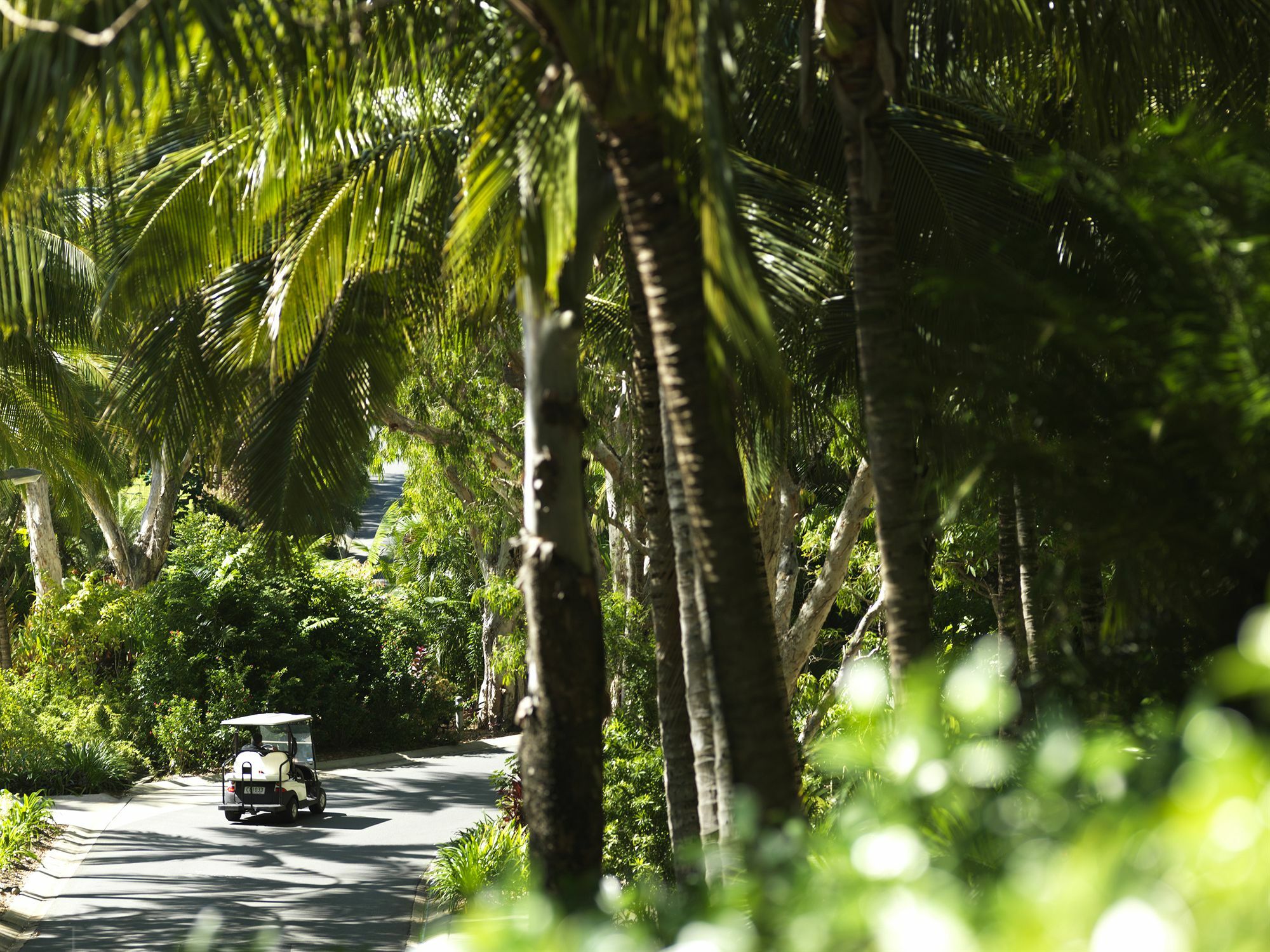 Palm Bungalows Hamilton Island Eksteriør billede